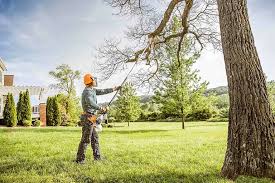 Best Arborist Consultation Services  in Stuart, IA